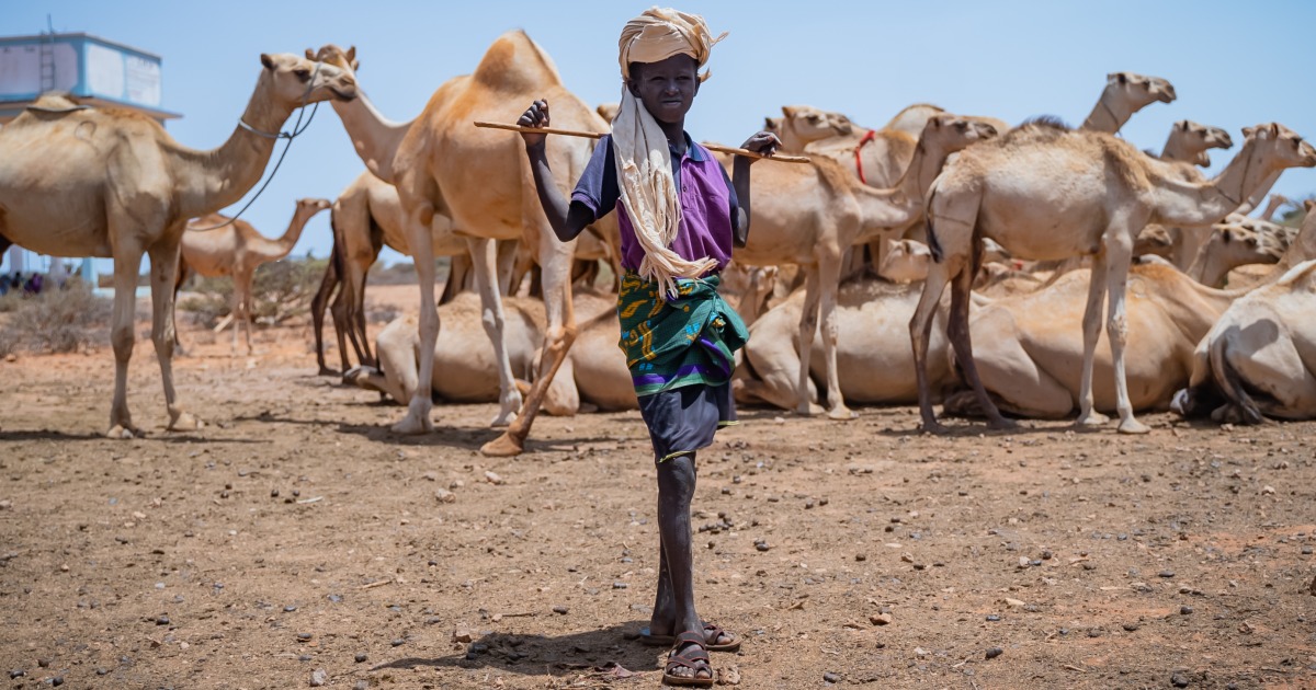 While Hunger Threatens Millions Of Lives In Horn Of Africa Funding