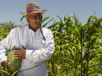 A farmer stands in his fields.