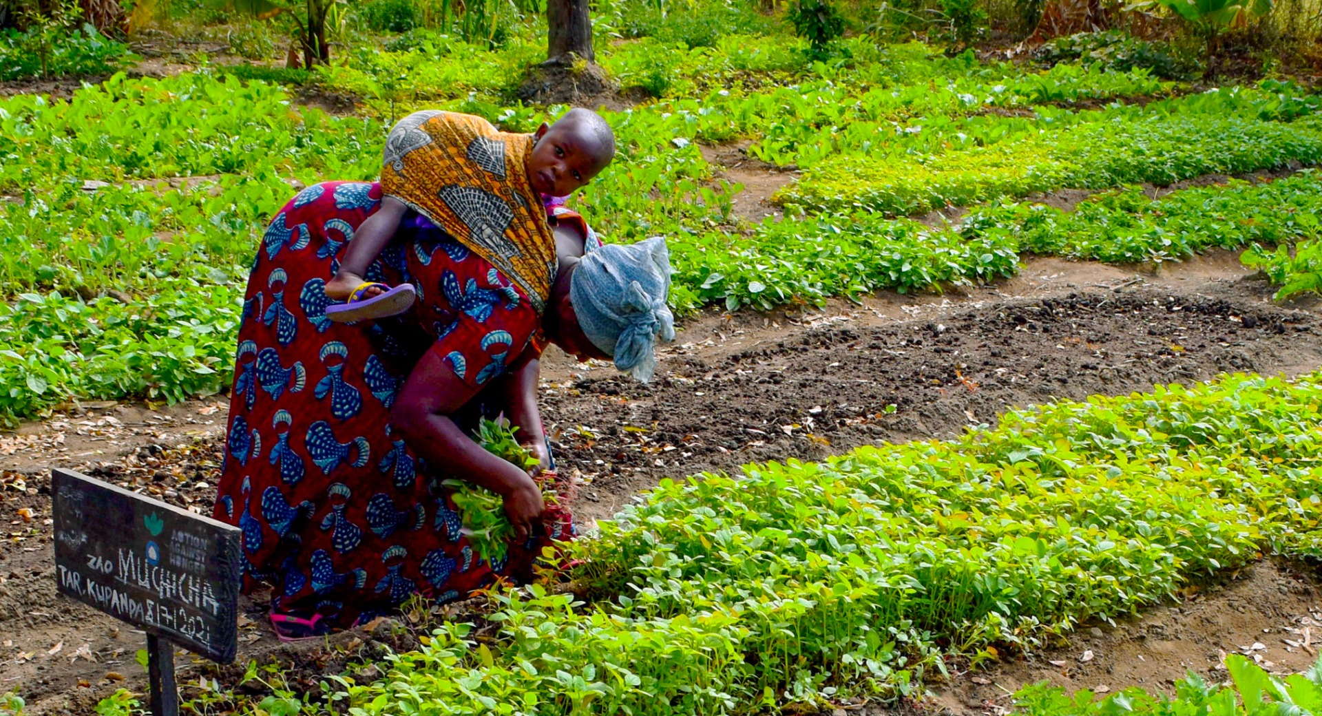 A woman and her baby in a demonstration plot