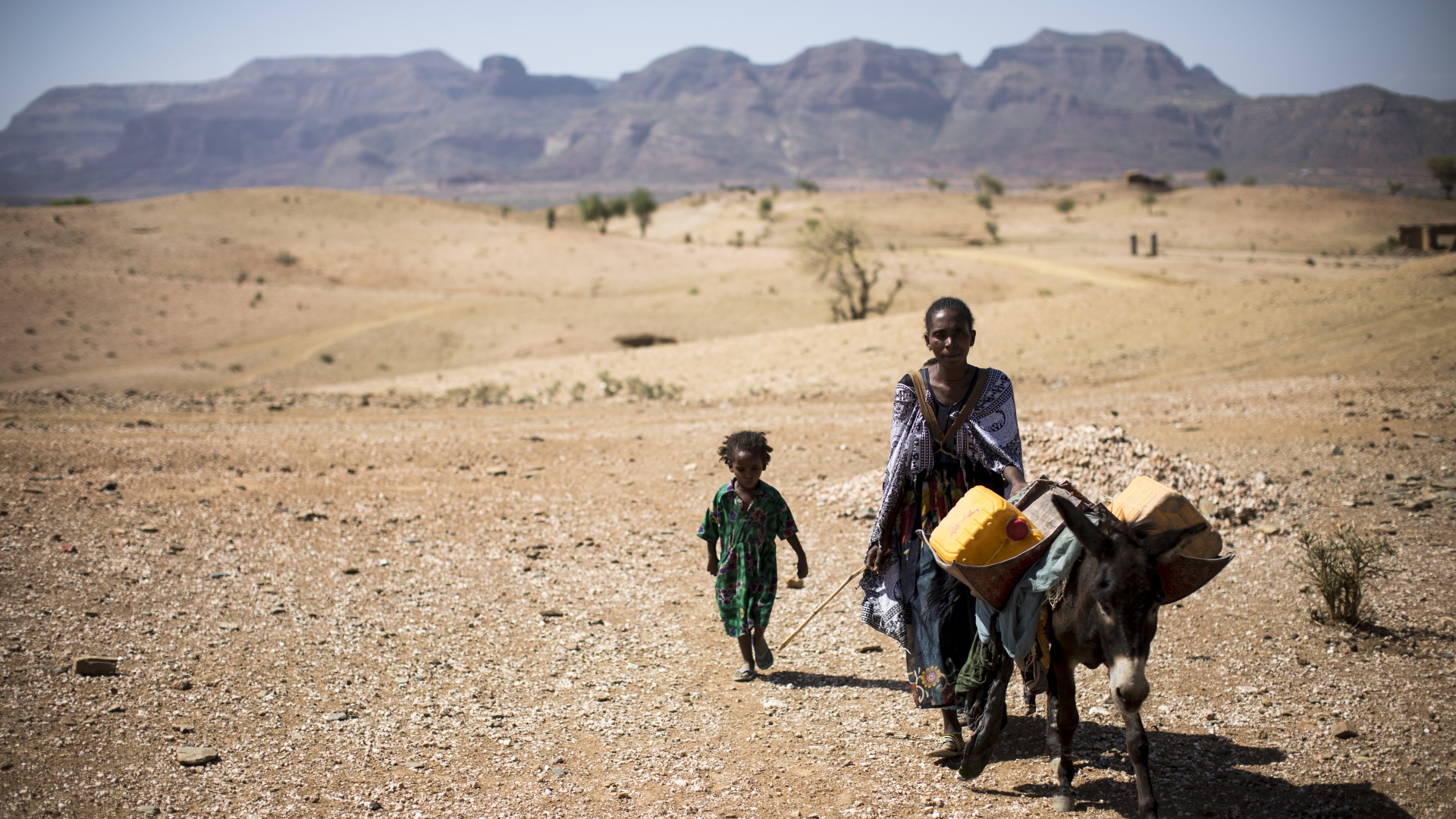 Drought is particularly hard on herding and farming families, who depend on land and livestock to survive.