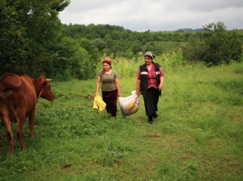 Two women walk in a field with a cow.