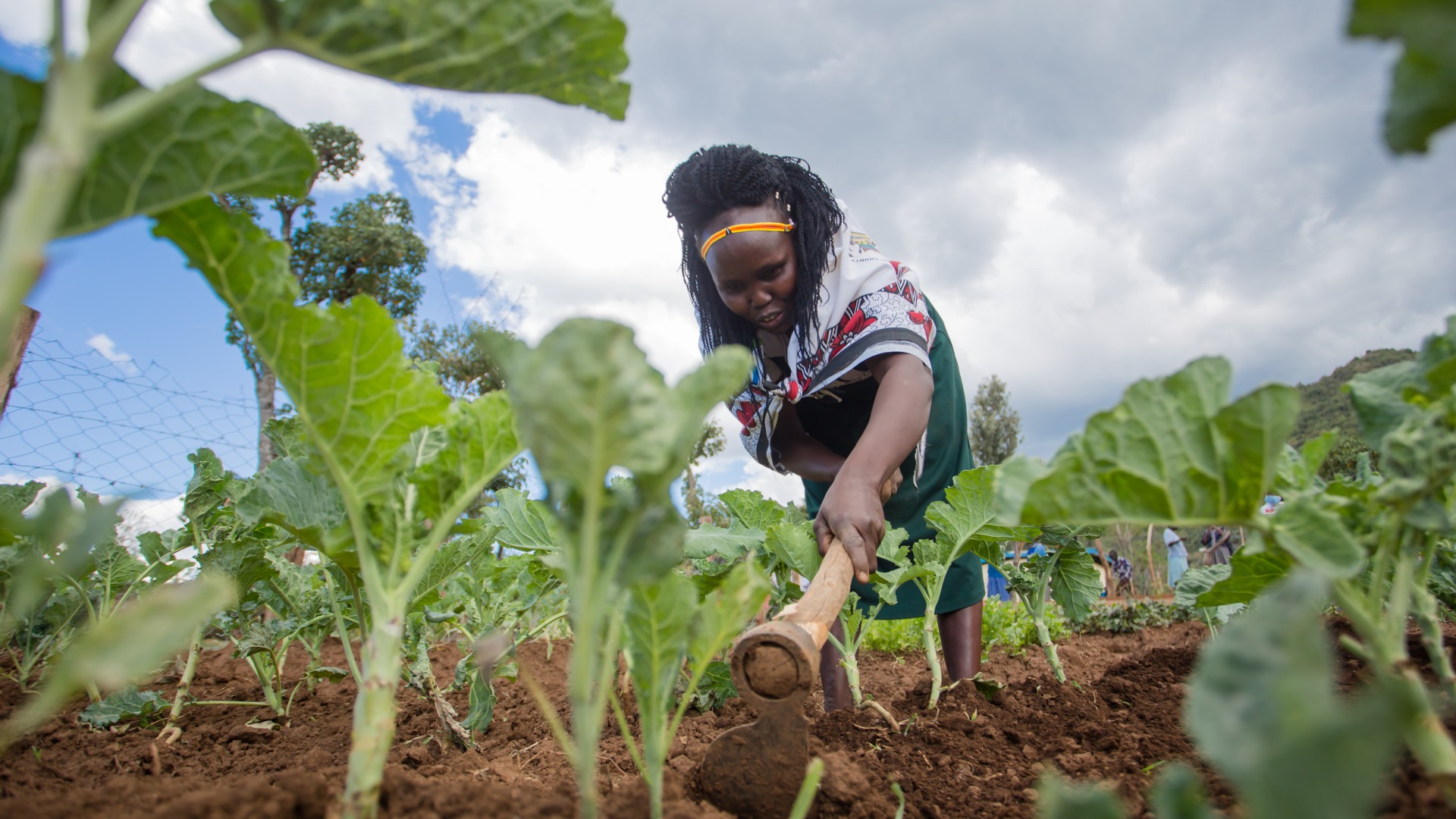 A woman farms crops in Kenya.