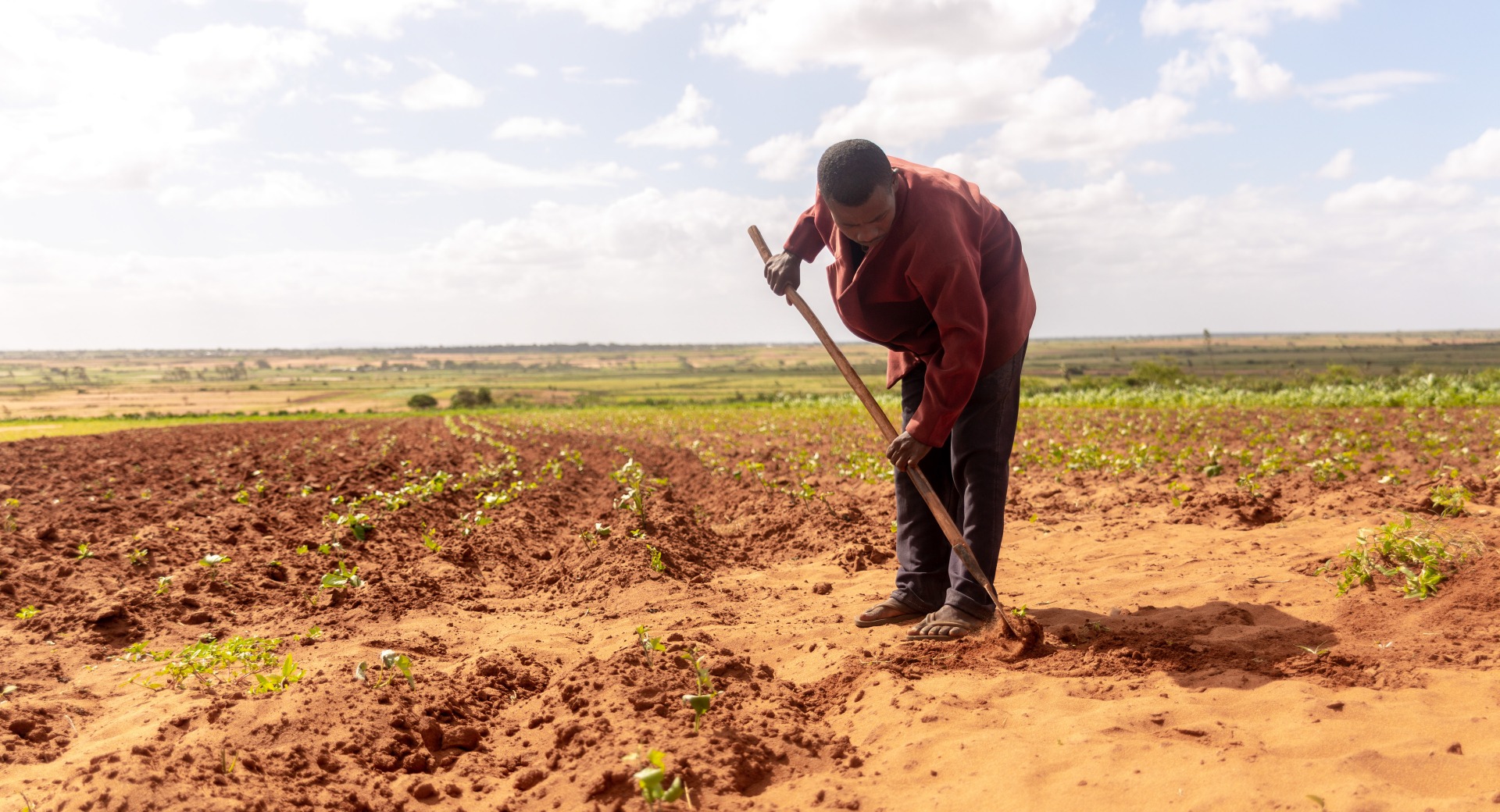 A farmer works in his parched fields.