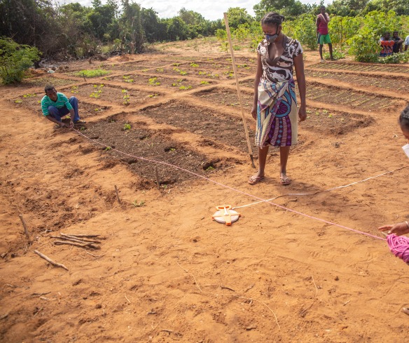 Women farmers plan out their plots in a dry-looking garden.