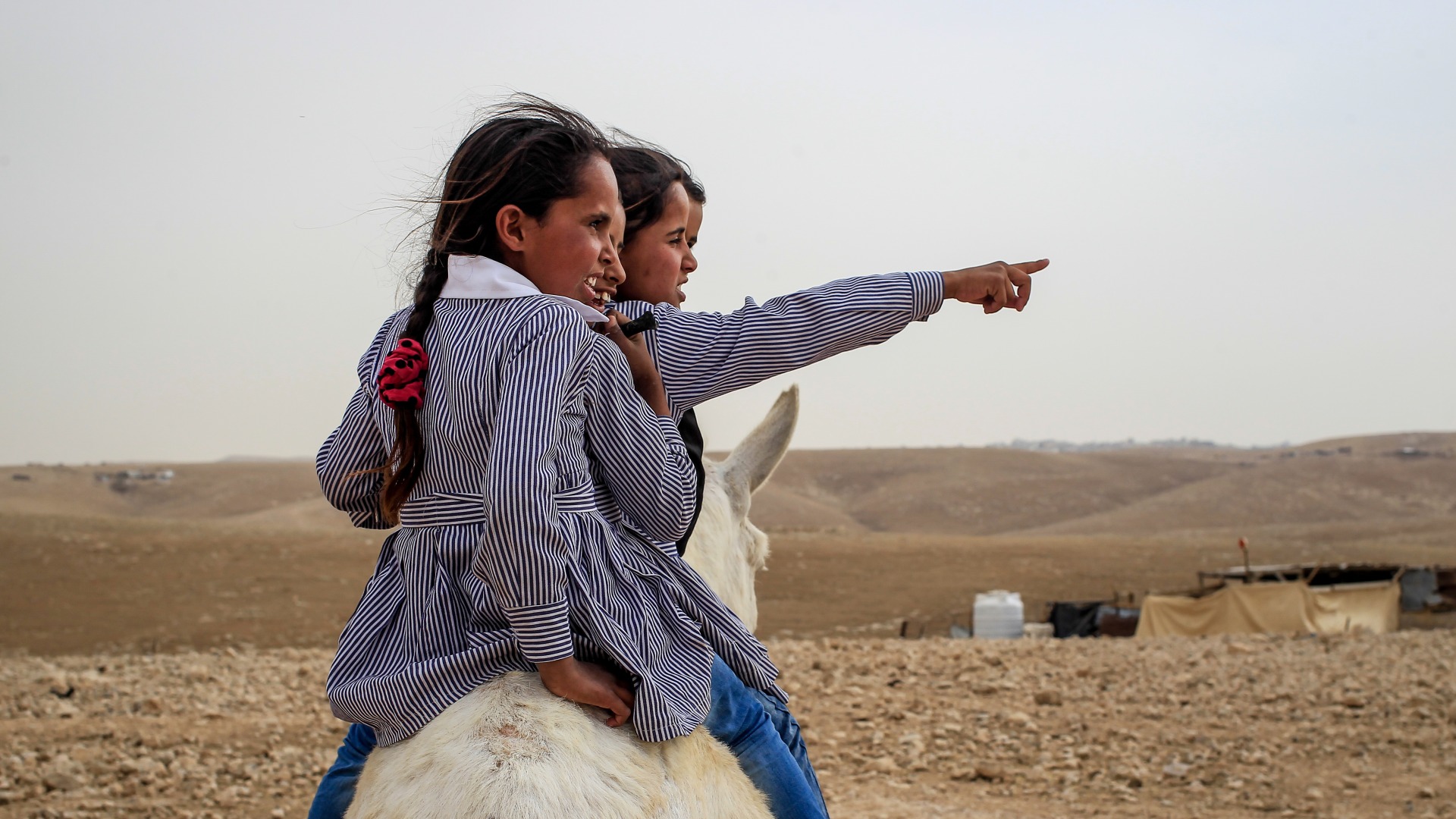 4 girls on the back of a donkey. One points to the right.