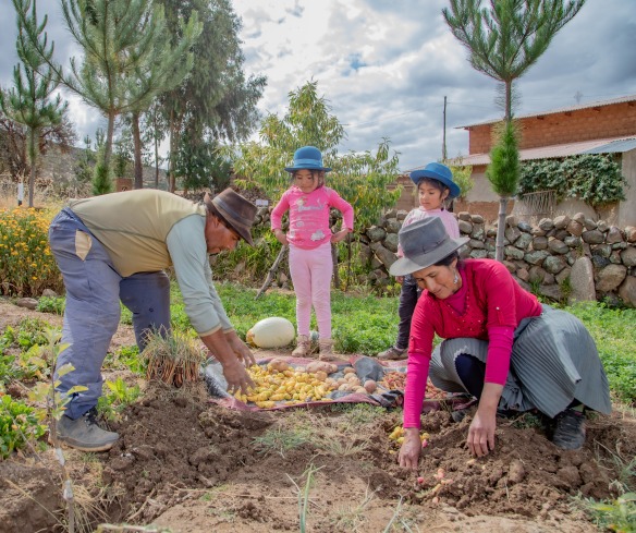 A family harvests crops from their garden.