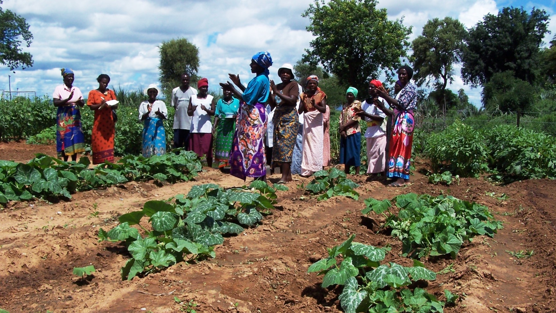 Women stand around green crops in their garden, clapping.