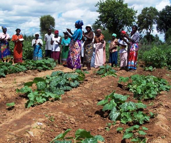 Women stand around green crops in their garden, clapping.