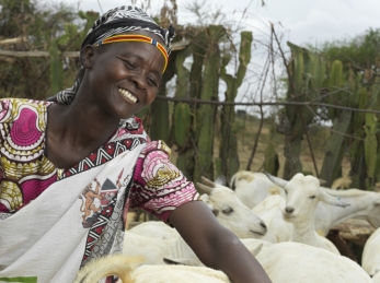 Rosalyn rears Galla goats, a hardy breed that can survive harsh climates.