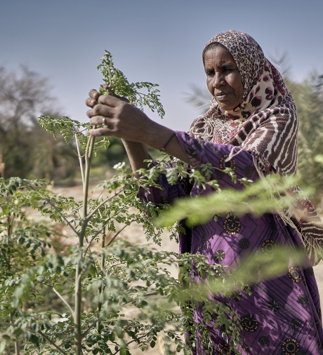 Une femme cultive ses récoltes.