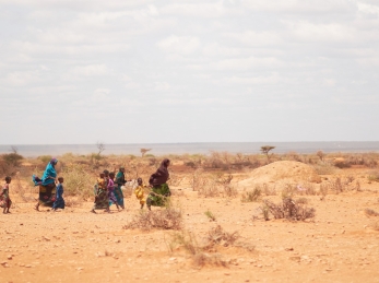 Severe drought in the Horn and East Africa is displacing communities and driving hunger that threatens to worsen in the coming months.