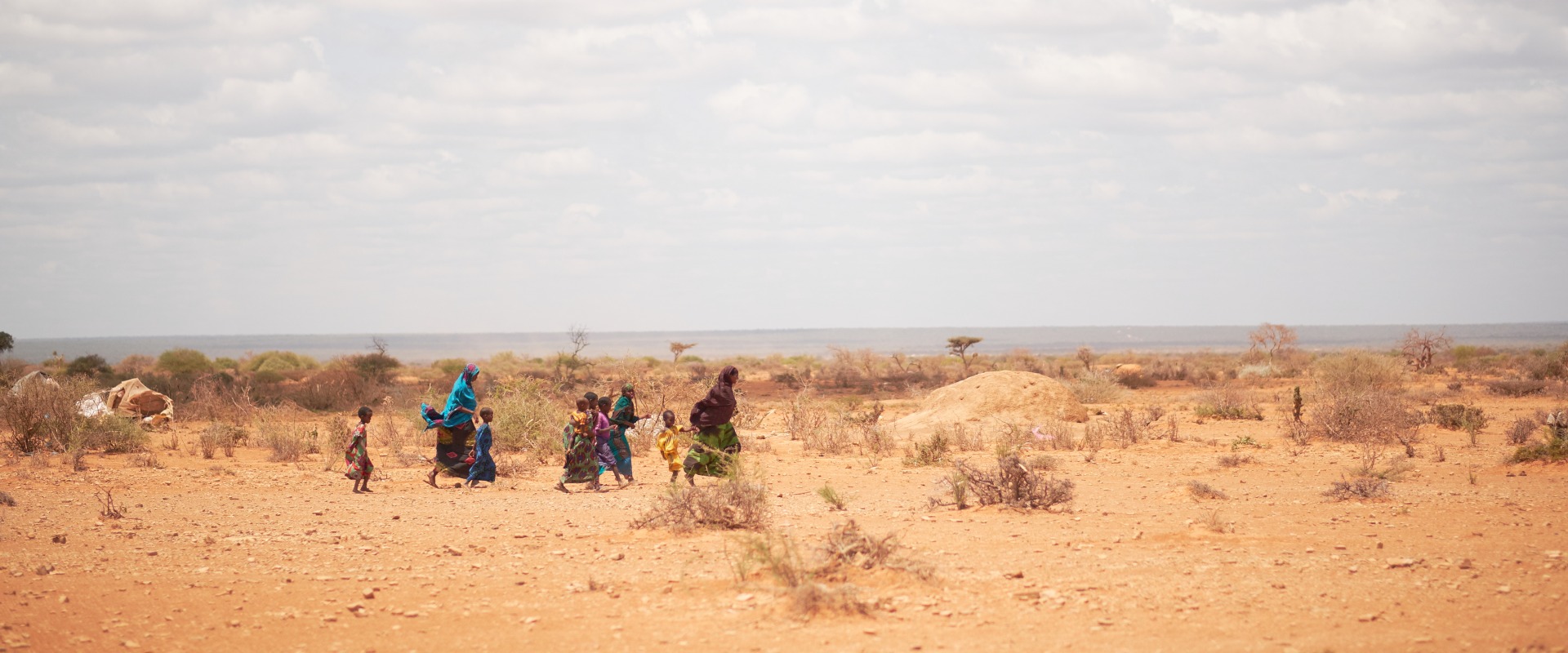 Severe drought in the Horn and East Africa is displacing communities and driving hunger that threatens to worsen in the coming months.