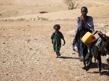 Drought is particularly hard on herding and farming families, who depend on land and livestock to survive.