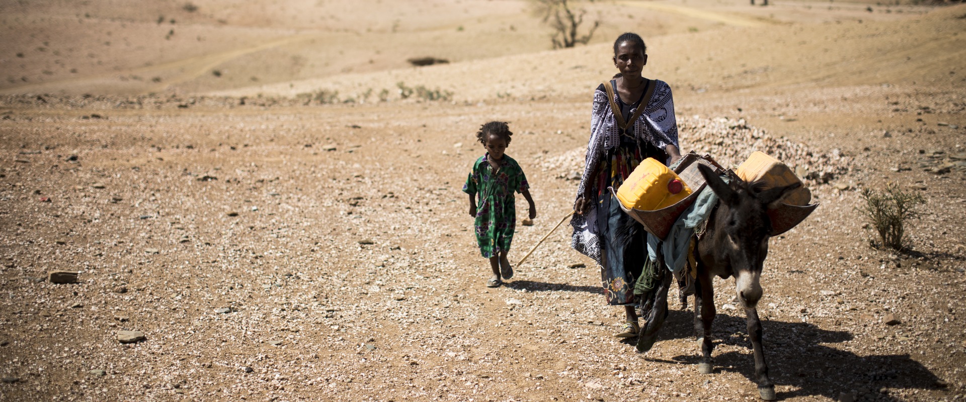 Drought is particularly hard on herding and farming families, who depend on land and livestock to survive.