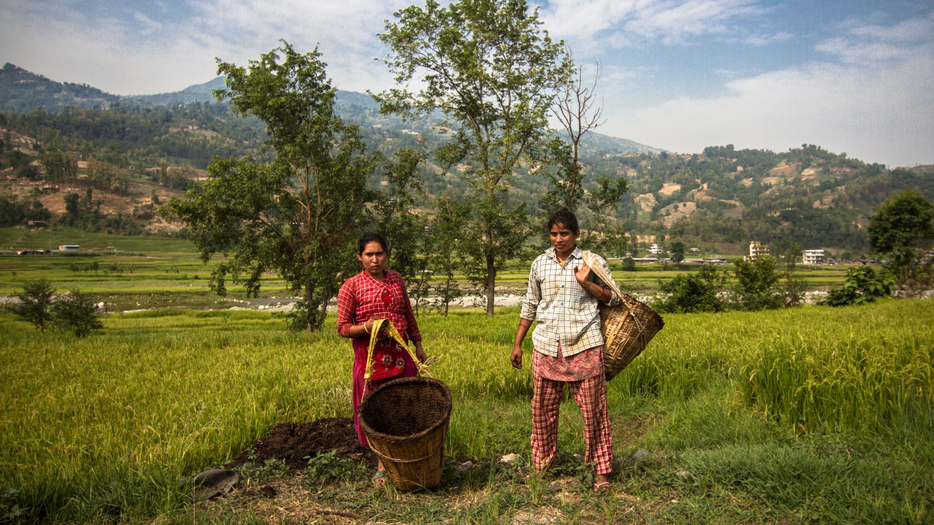 Two people stand in their field.