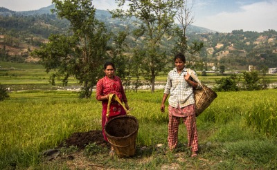 Two people stand in their field.