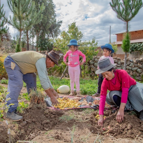 Une famille récolte les produits de son jardin.