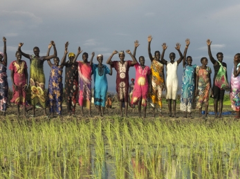 Farmers stand behind the rice paddy they planted earlier in the day.