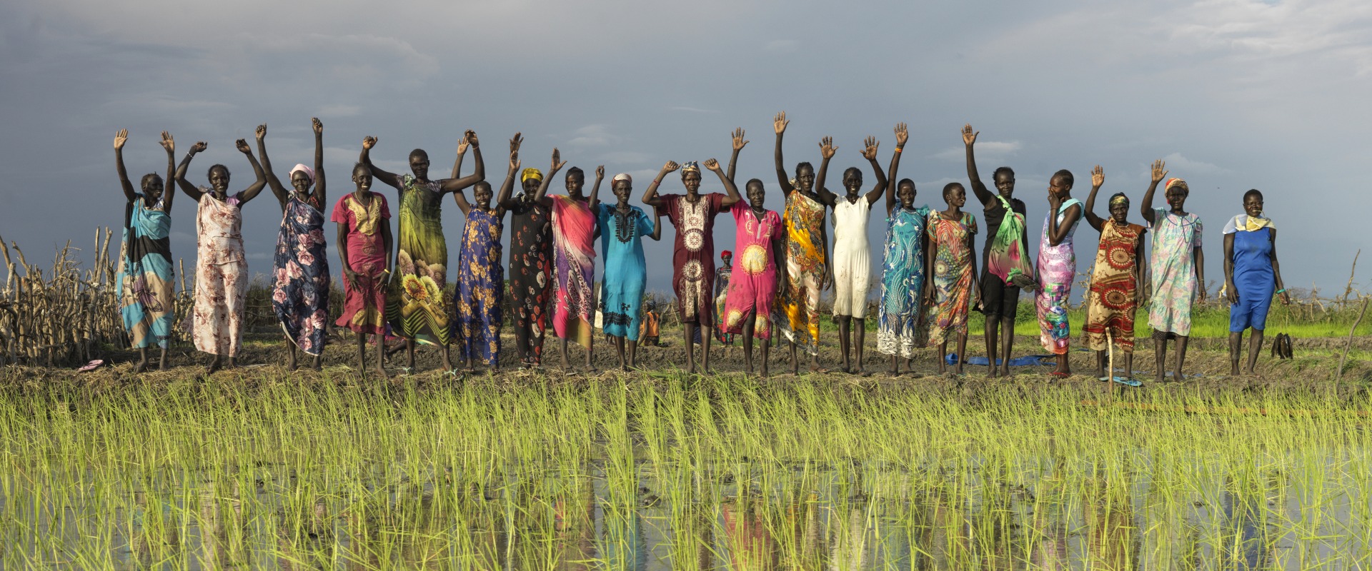 Farmers stand behind the rice paddy they planted earlier in the day.