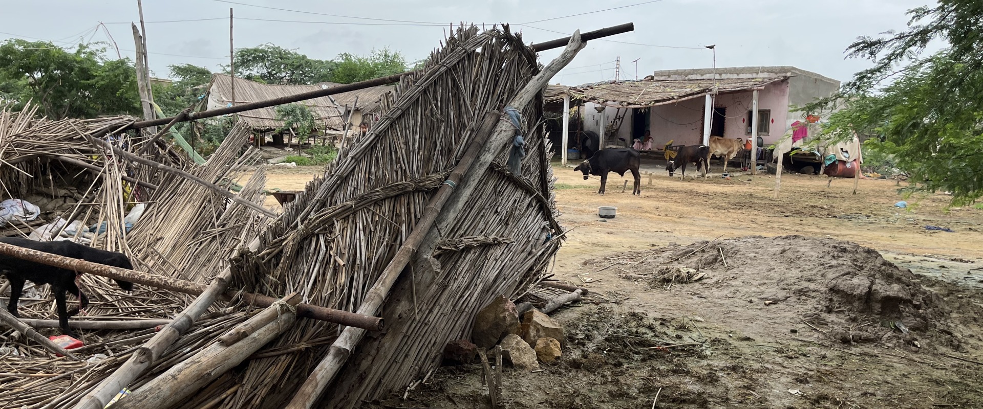 Destruction from the floods in Sindh.