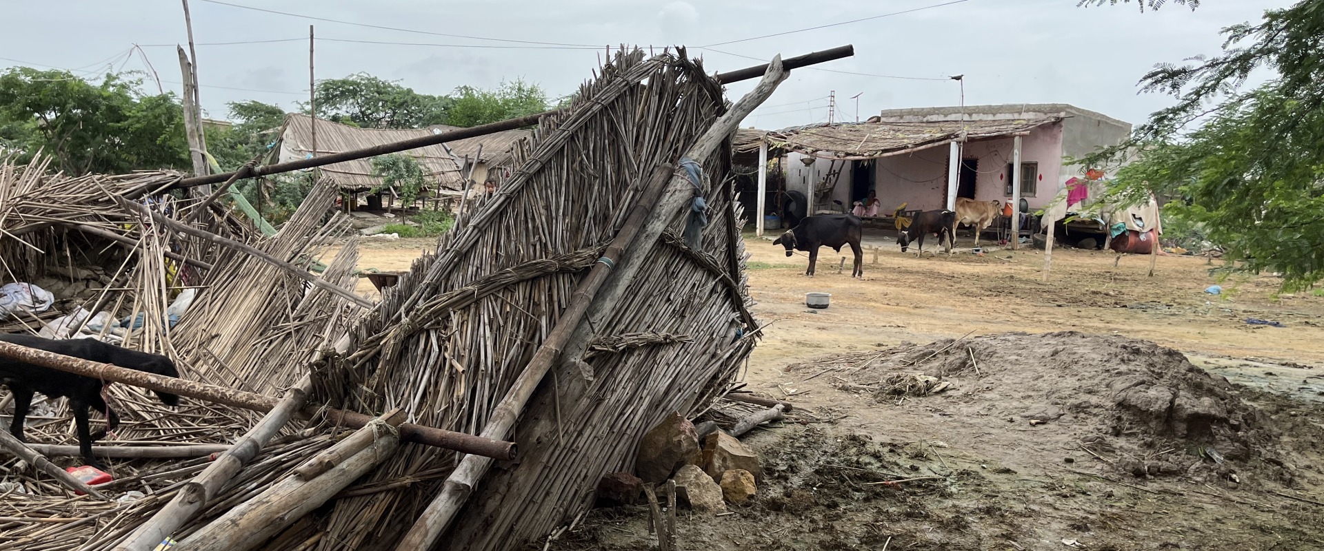 Destructions causées par les inondations dans le Sindh.