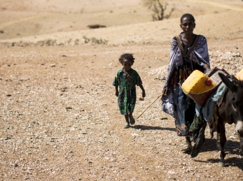 Drought is particularly hard on herding and farming families, who depend on land and livestock to survive.