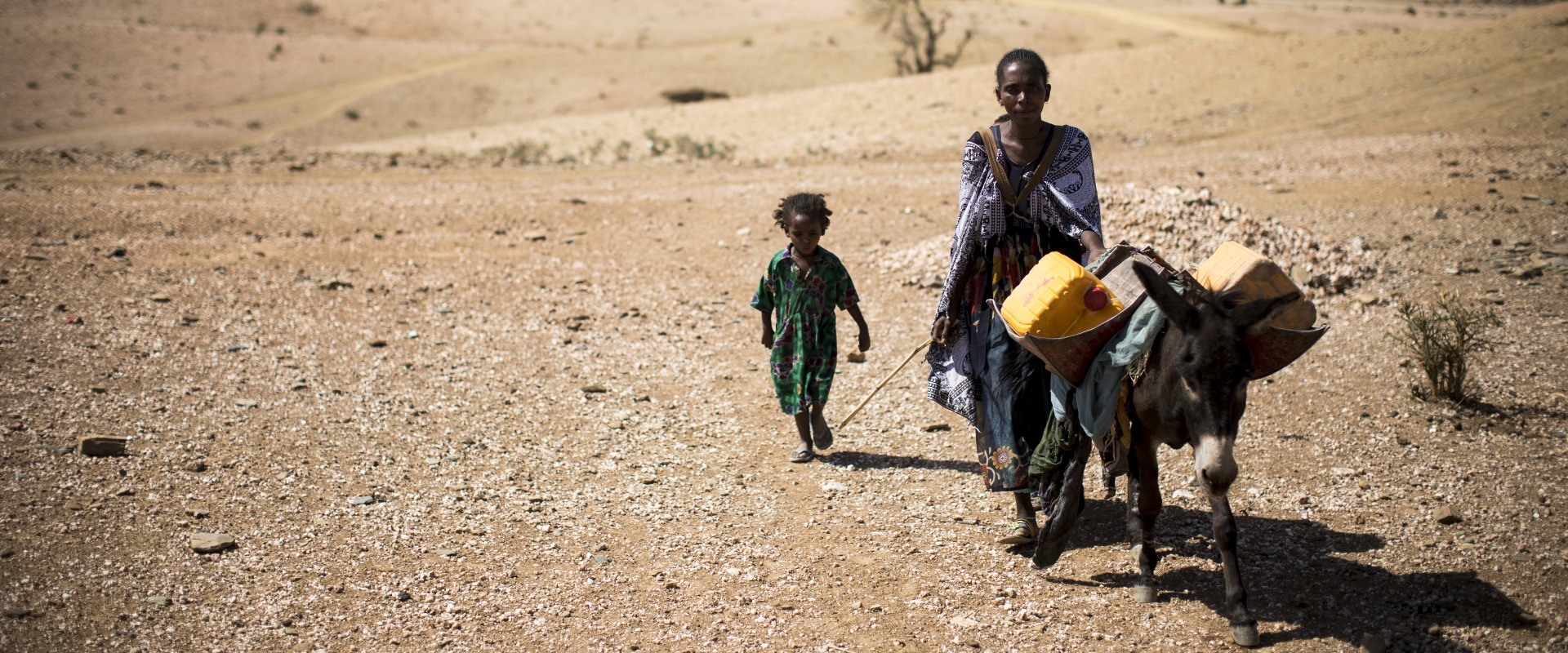 Drought is particularly hard on herding and farming families, who depend on land and livestock to survive.